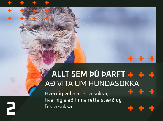 SOKKARÁÐ