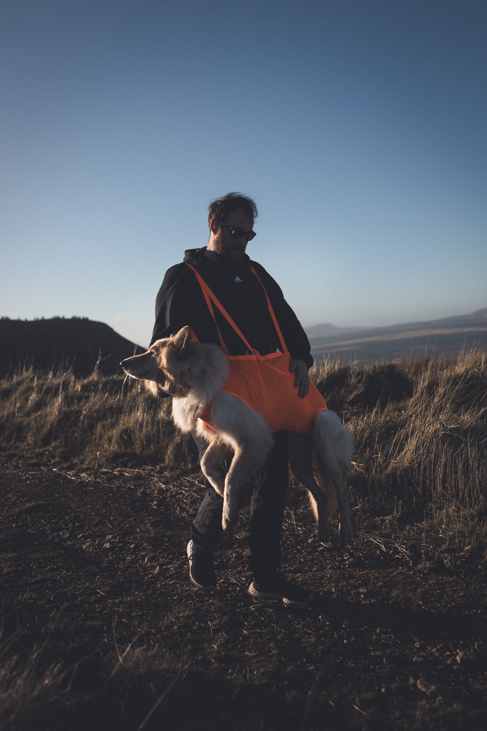 DOG RESCUE SLING PRO