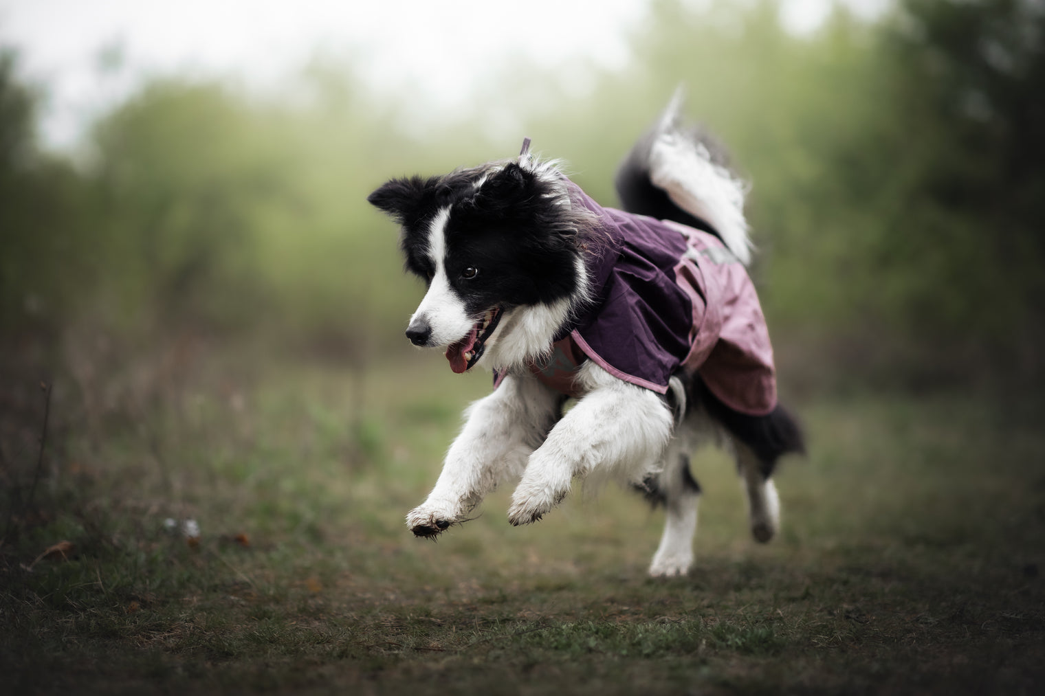 FJORD RAINCOAT 2.0
