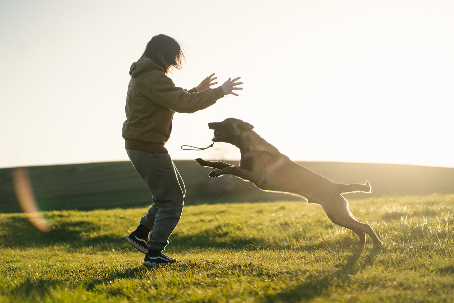 DOG BALL ON ROPE