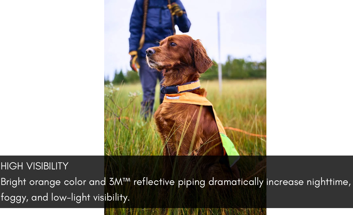 PROTECTOR COLLAR