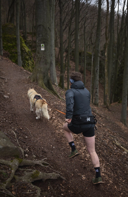 TRAIL LIGHT BELT