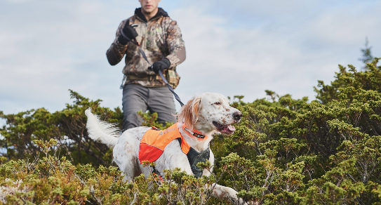 PROTECTOR VEST - SÍÐUSTU EINTÖK !