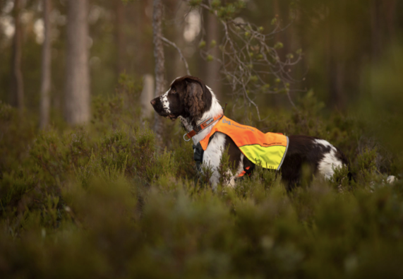 PROTECTOR VEST - SÍÐUSTU EINTÖK !
