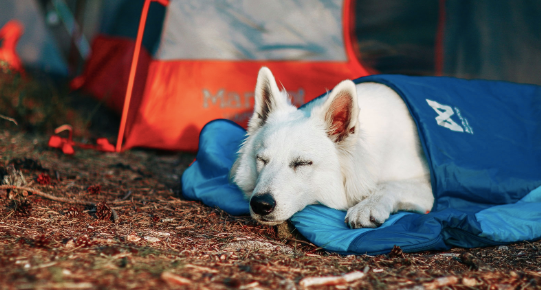 LY SLEEPING BAG