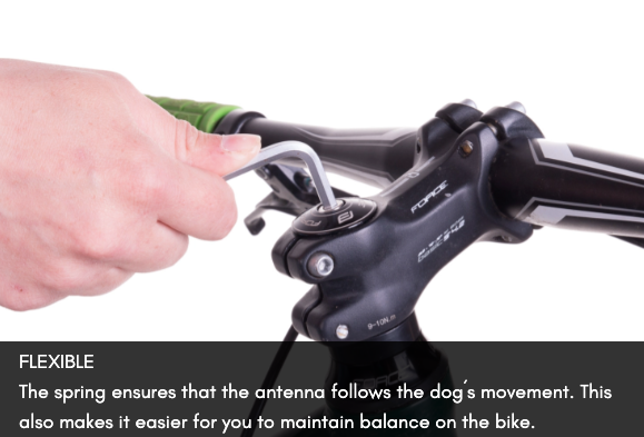 BIKE ANTENNA