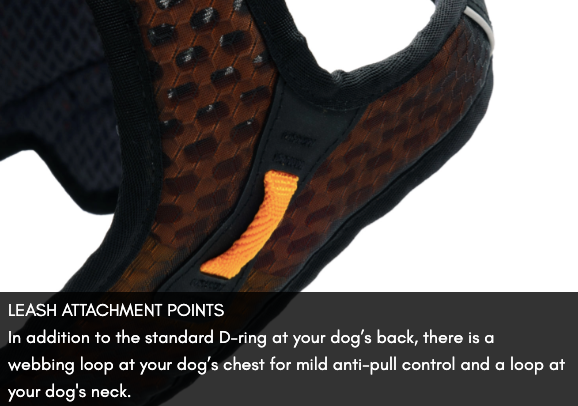 ROCK HARNESS LONG