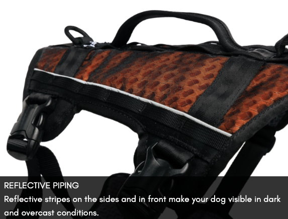 ROCK HARNESS LONG