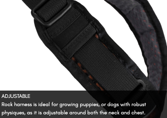 ROCK HARNESS