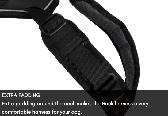 ROCK HARNESS