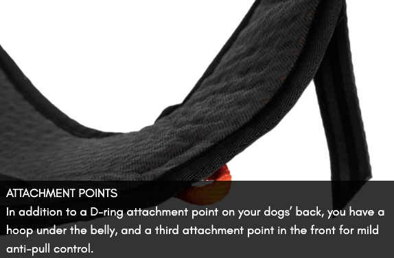 ROCK HARNESS