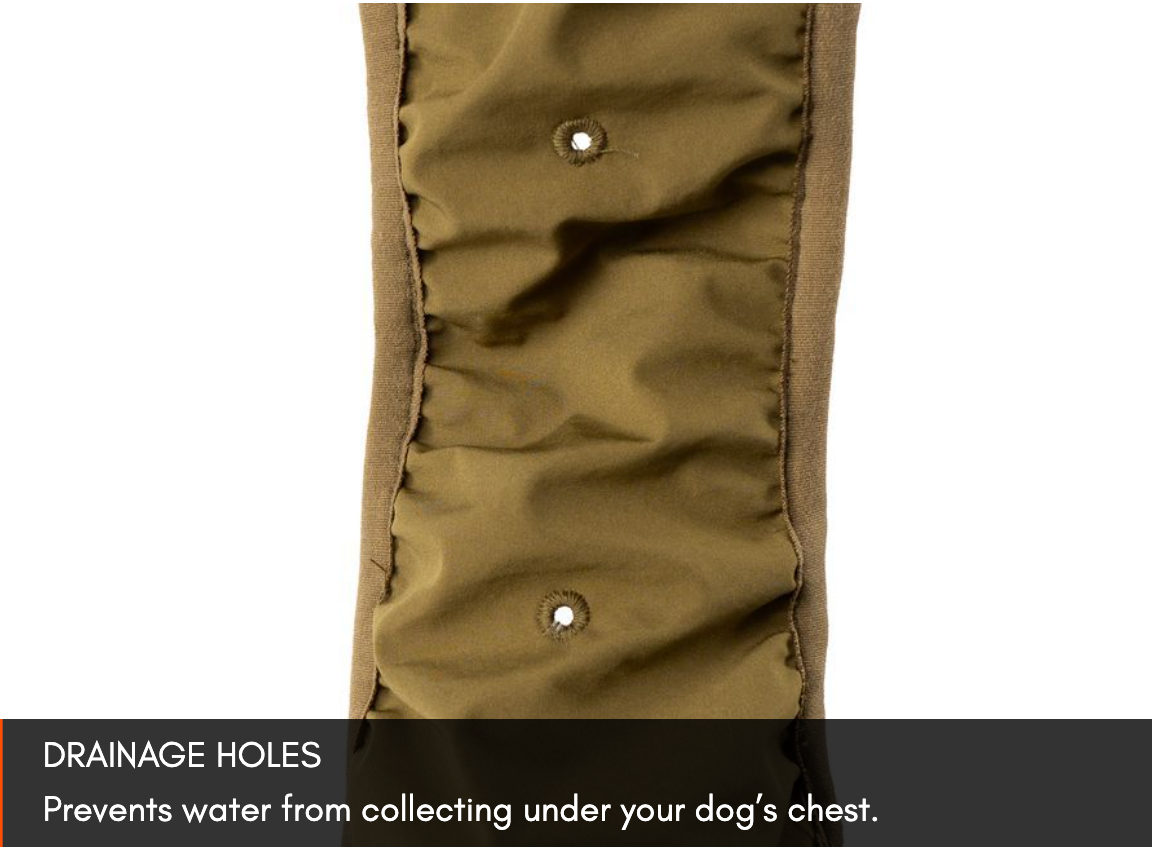 GLACIER DOG JACKET WD
