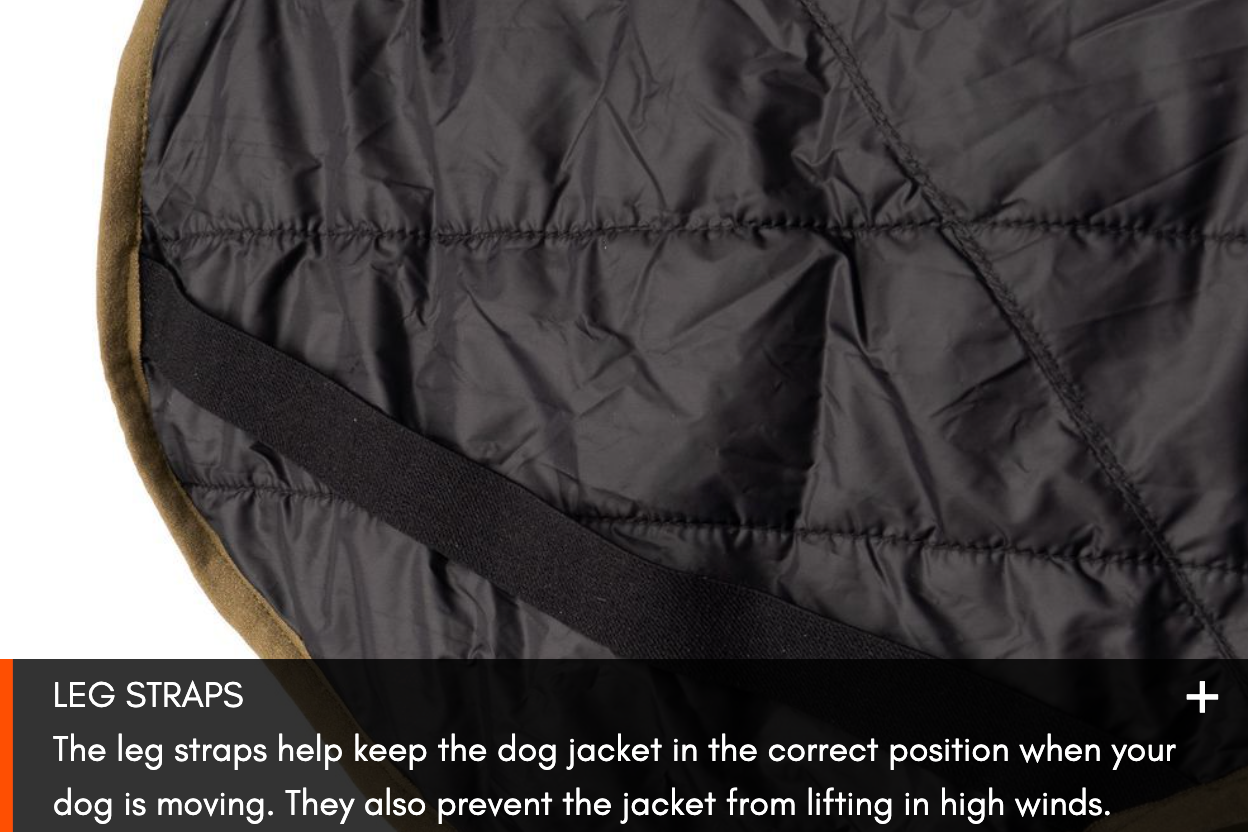 GLACIER DOG JACKET WD