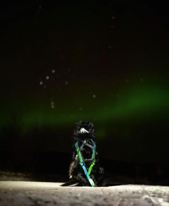 FREEMOTION 5.0 15TH ANNIVERSARY