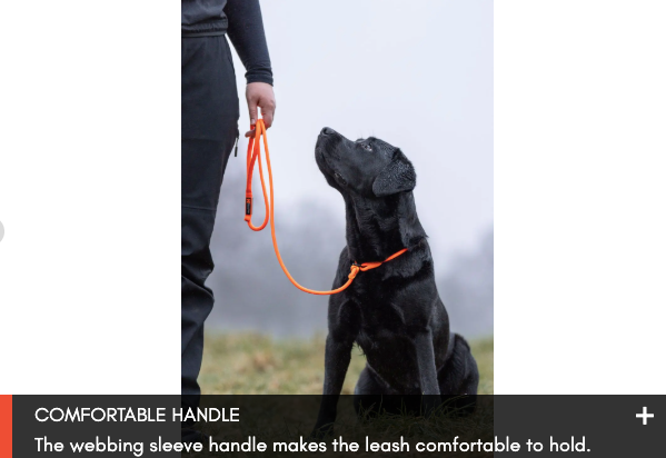 RETRIEVER LEASH