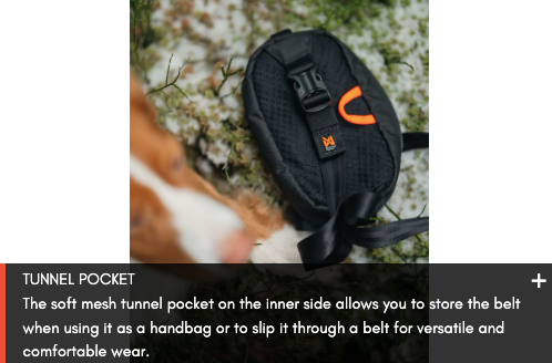 TRAIL QUEST FANNY PACK