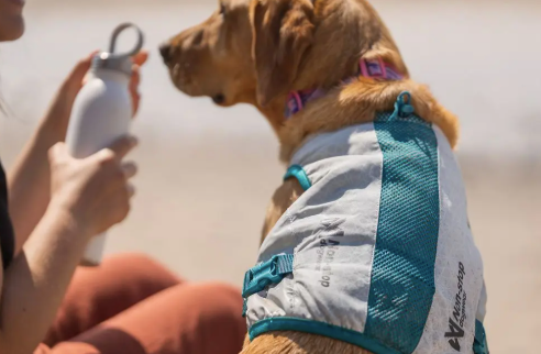 COOLING VEST