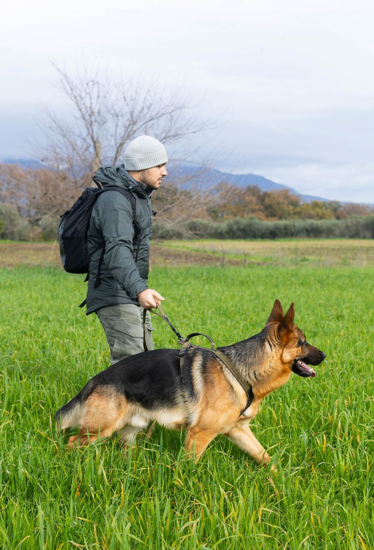 TOURING BUNGEE LEASH WD