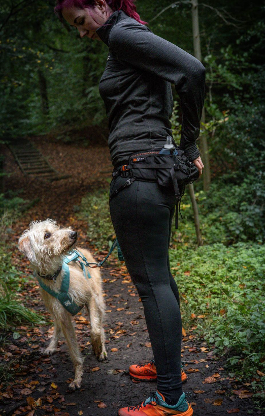 TRAIL LIGHT BELT
