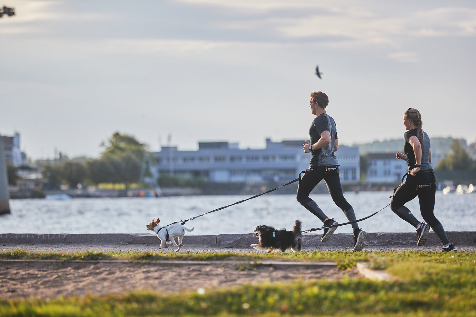 ÓSTÖÐVANDI CANICROSS 101 AKUREYRI 8.-9. Júní