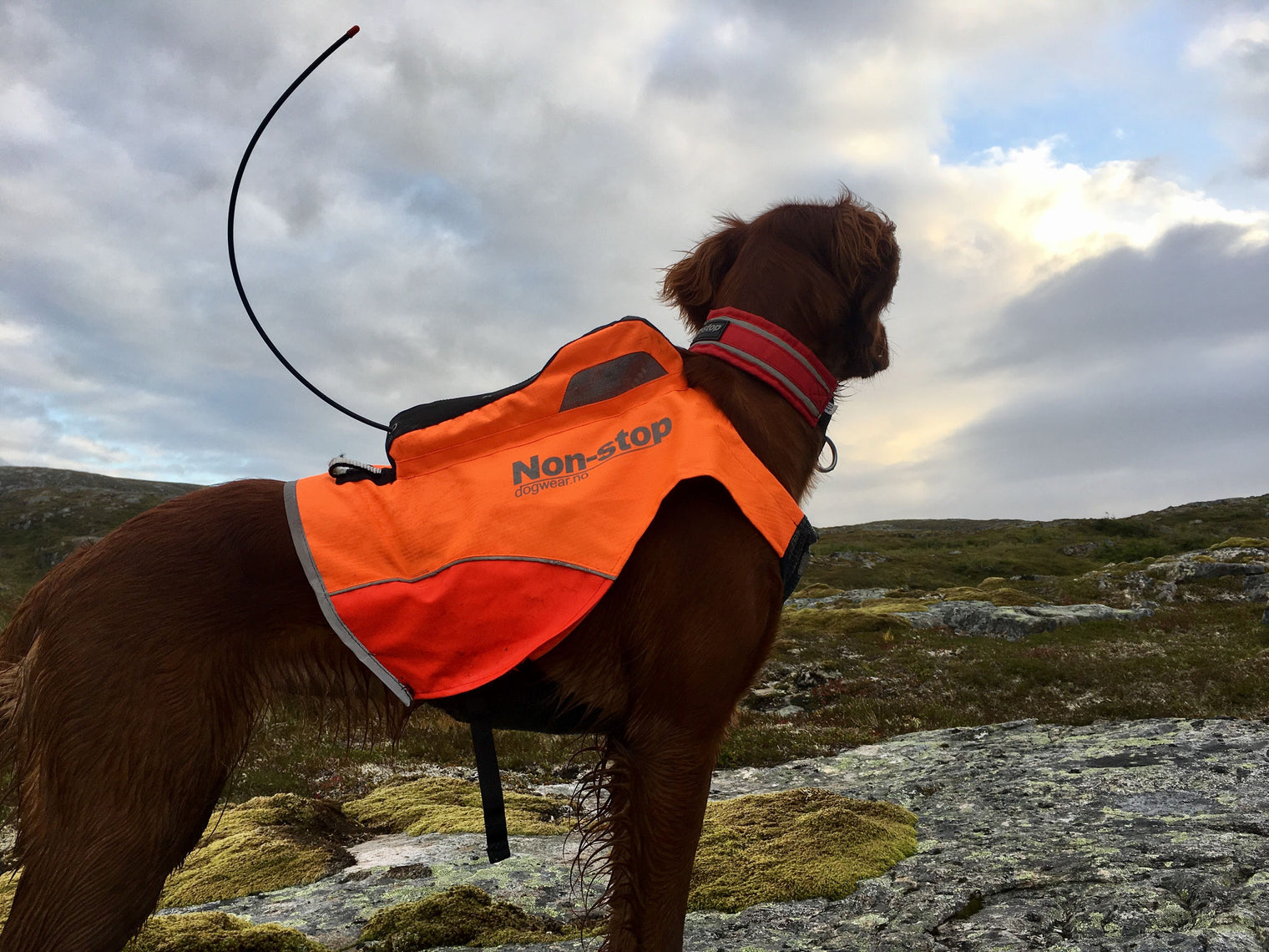 PROTECTOR VEST GPS - SÍÐUSTU EINTÖK !