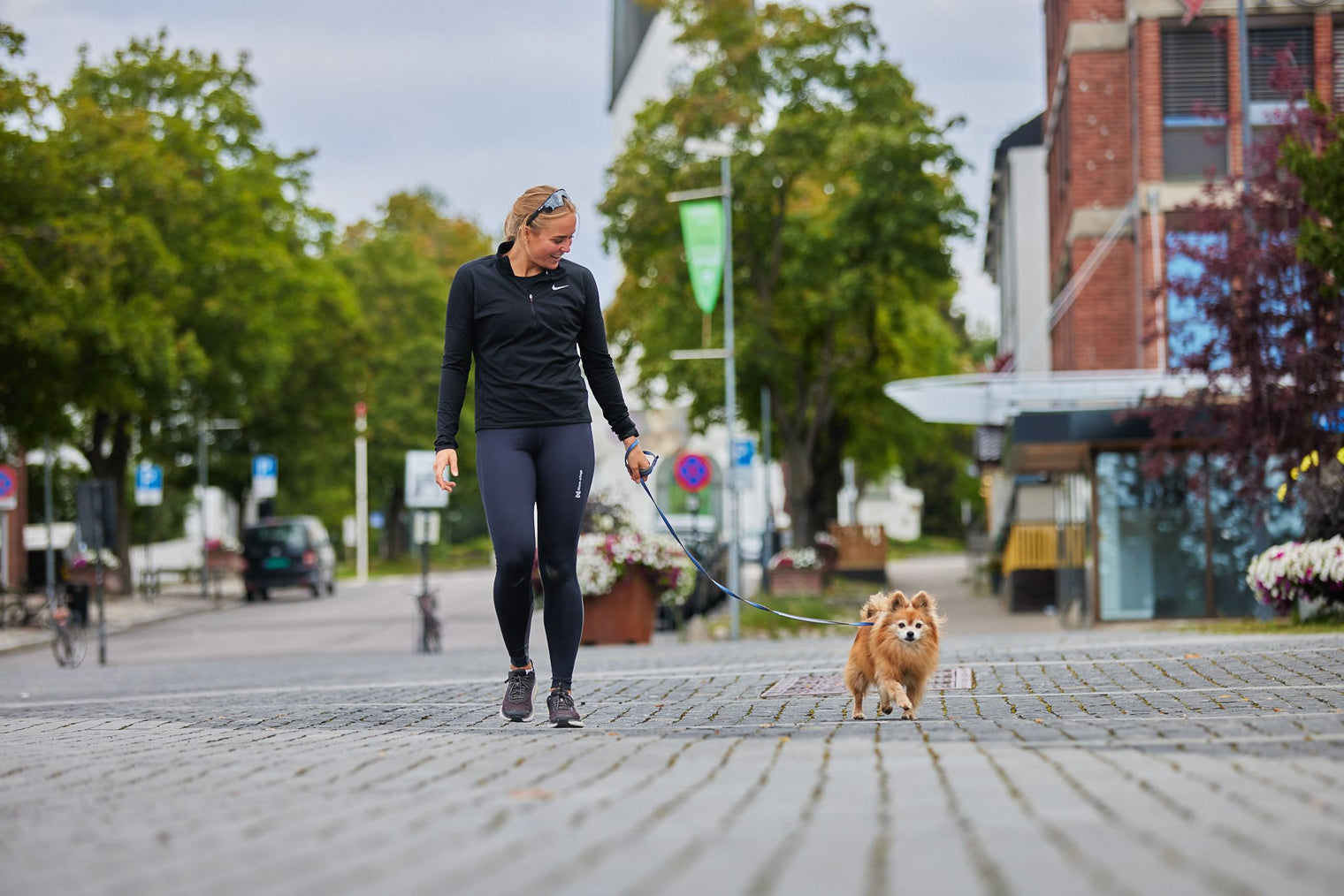 MOVE LEASH