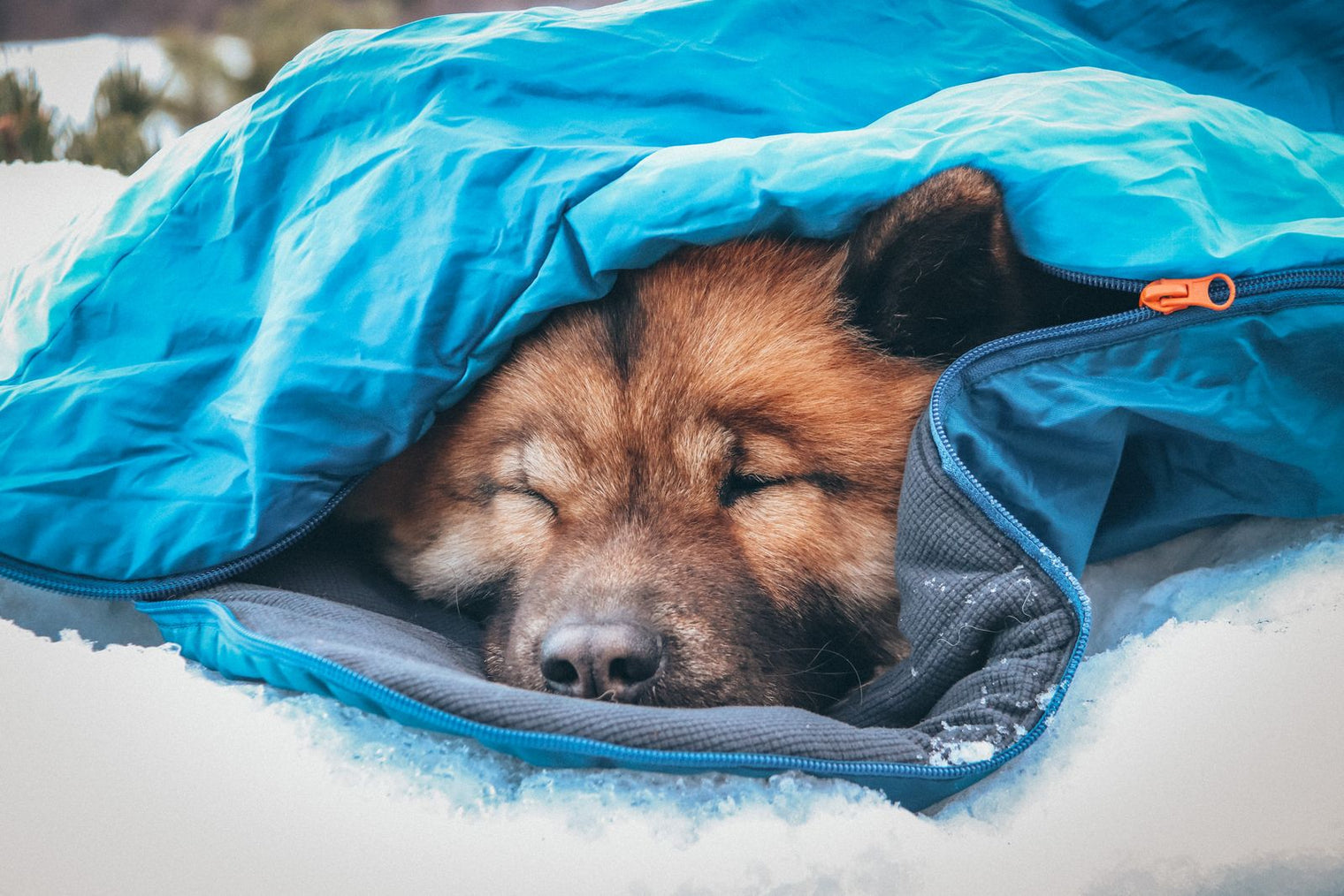LY SLEEPING BAG