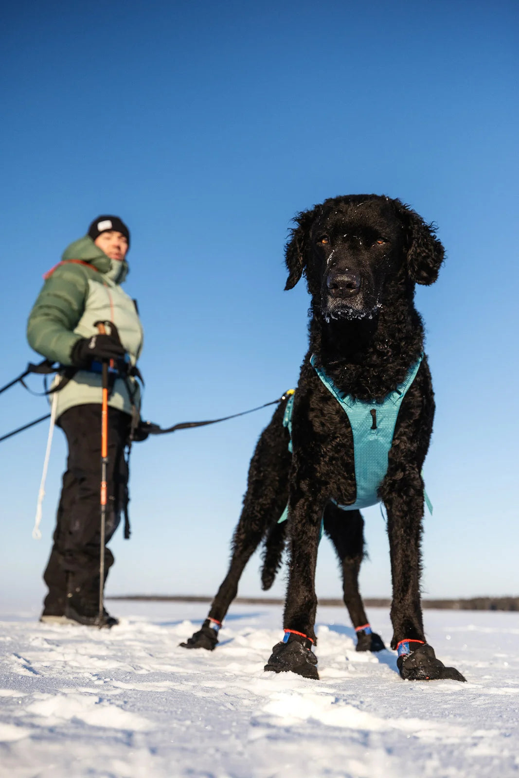 RAMBLE HARNESS LONG