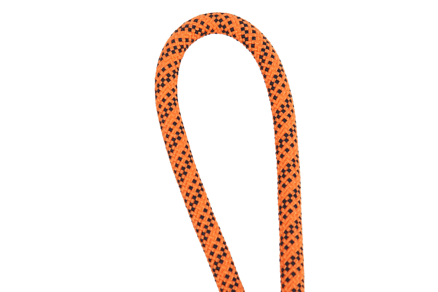 DOG BALL ON ROPE