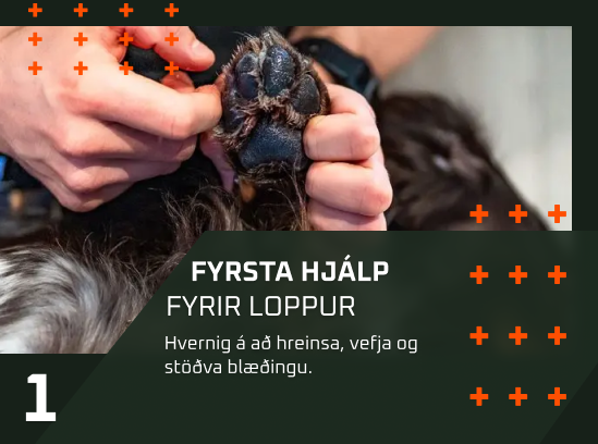 LOPPURÁÐ
