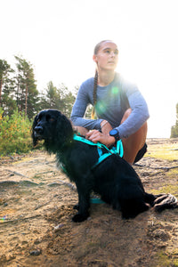 FREEMOTION HARNESS 5.0
