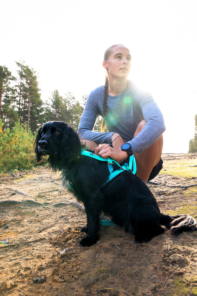 FREEMOTION HARNESS 5.0