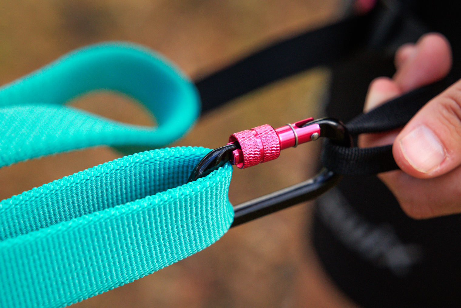 BUNGEE LEASH