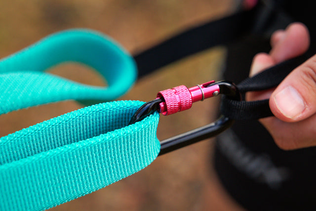 BUNGEE LEASH
