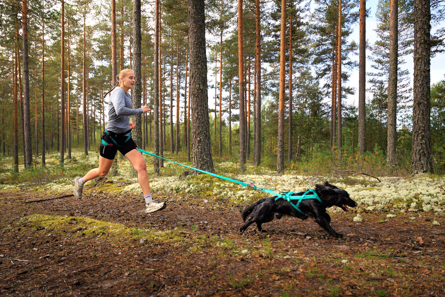 BUNGEE LEASH