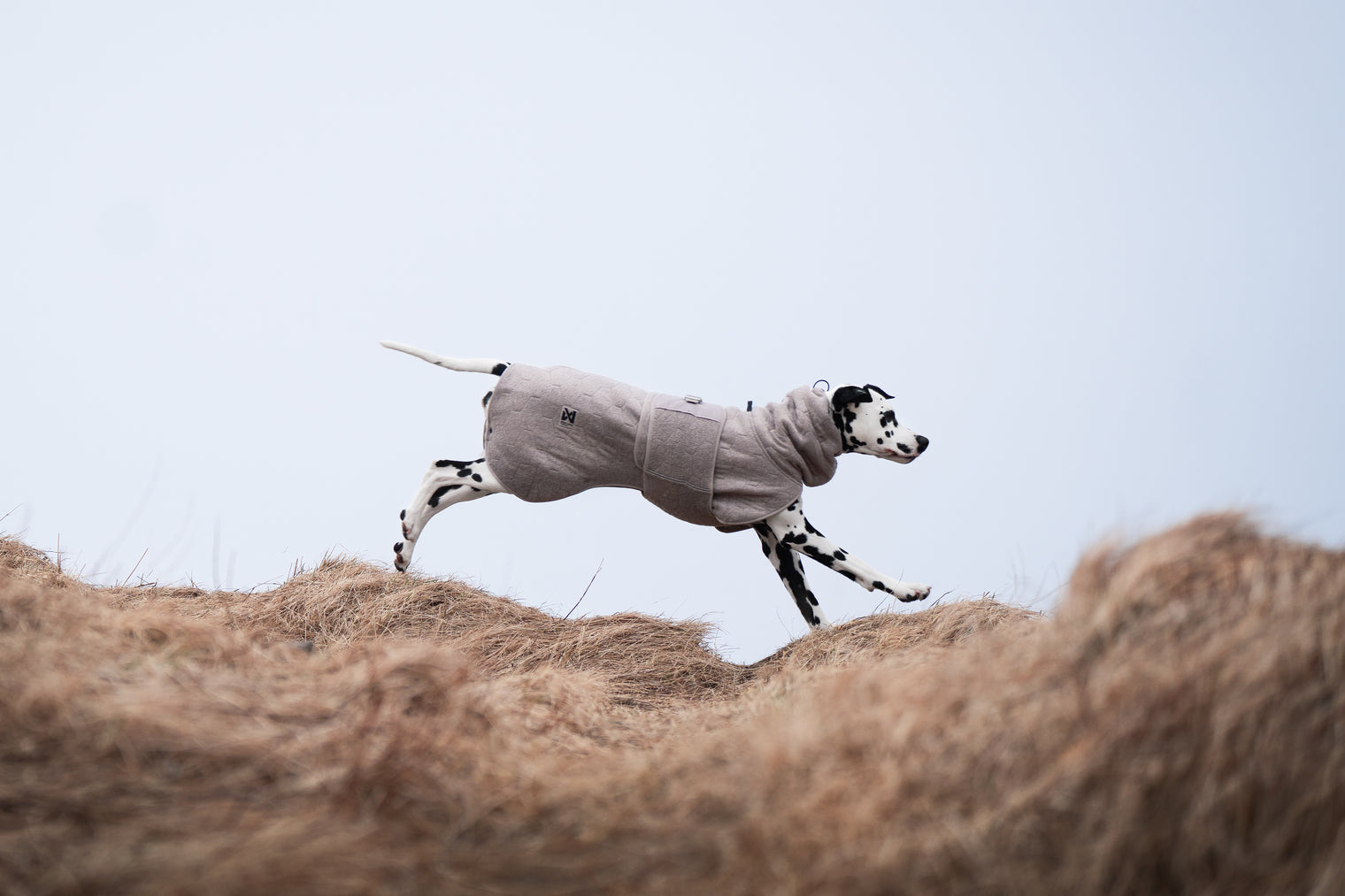 DRYING COAT