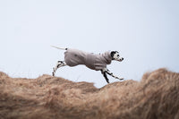DRYING COAT