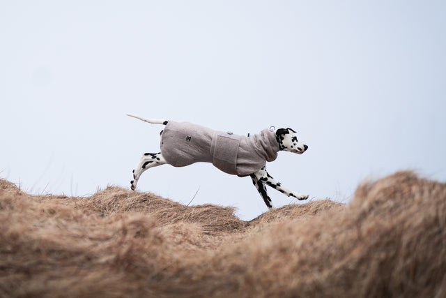 DRYING COAT