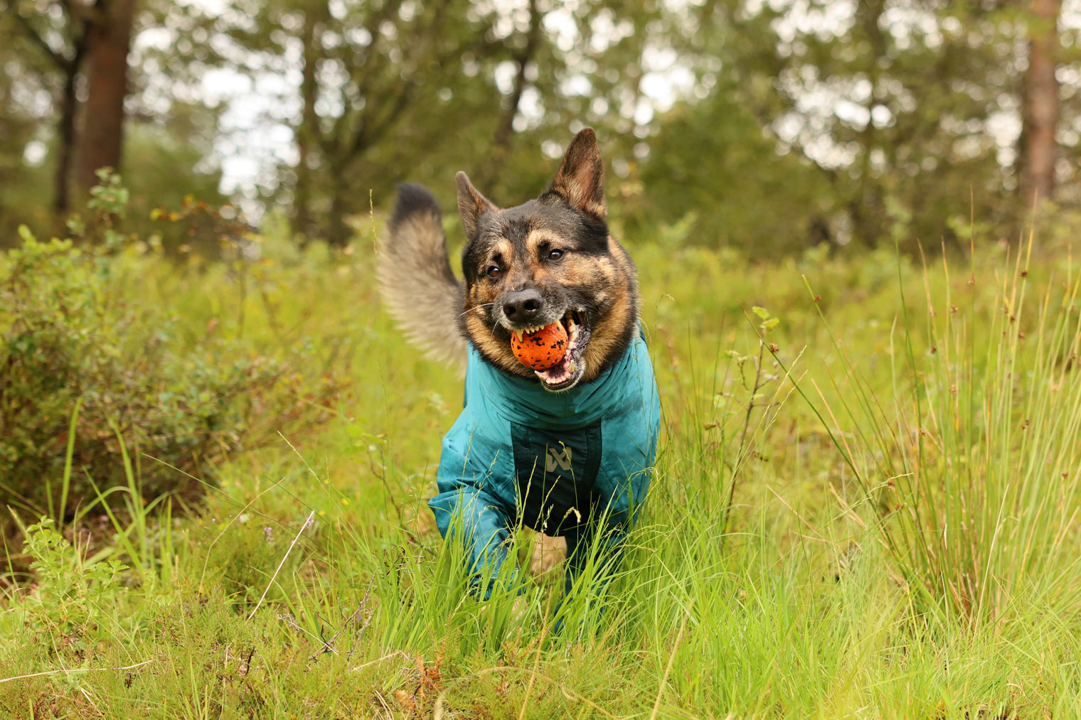 FJORD OVERALL RAINCOAT