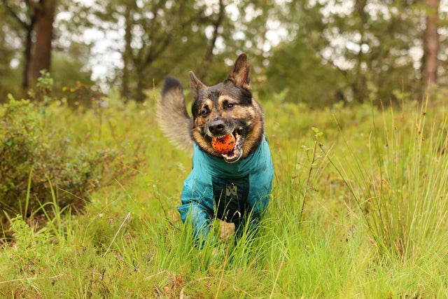 FJORD OVERALL RAINCOAT