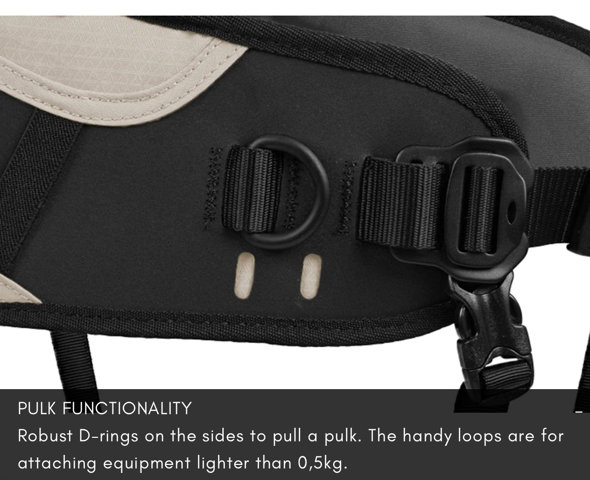 EXPLORE BELT