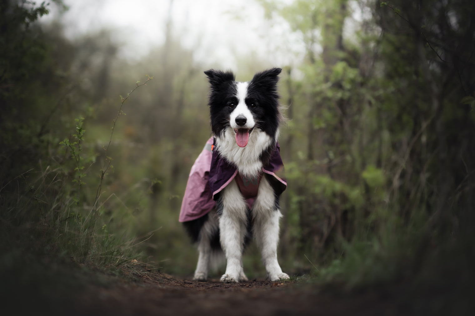 FJORD RAINCOAT 2.0