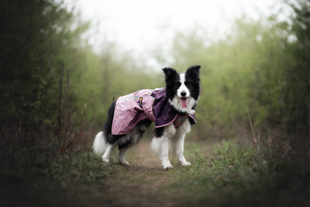 FJORD RAINCOAT 2.0