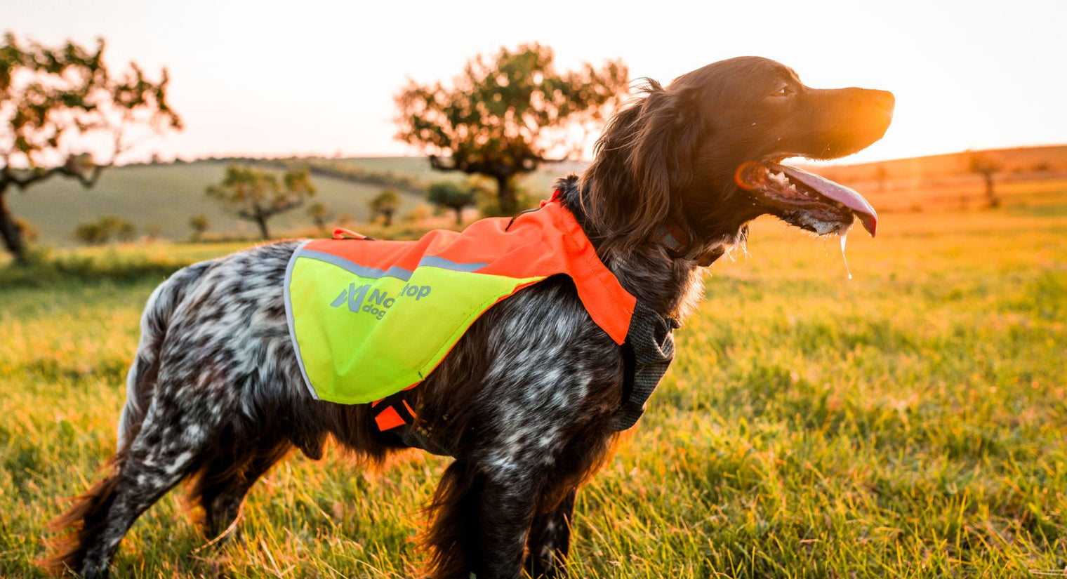 PROTECTOR VEST 2.0