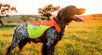 PROTECTOR VEST 2.0