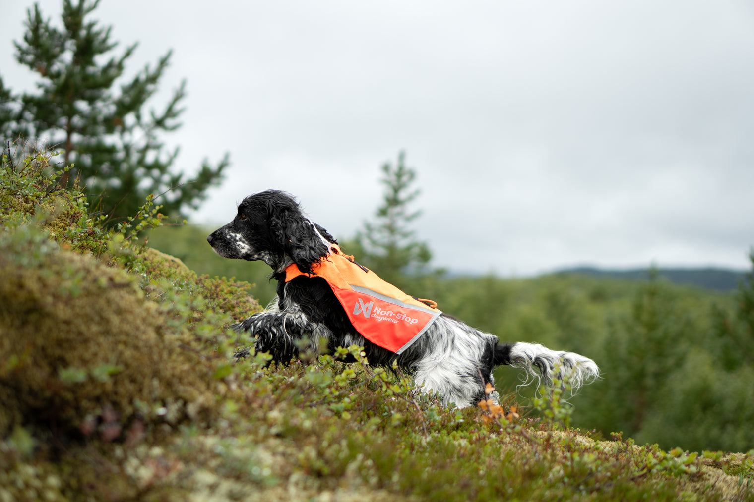 PROTECTOR VEST 2.0