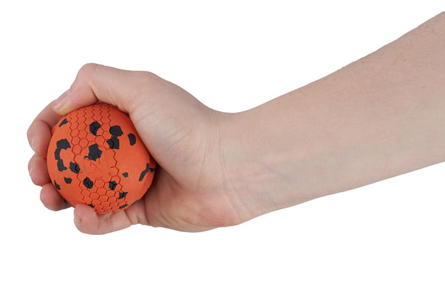 DOG BALL