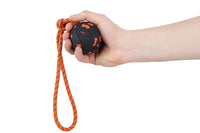 DOG BALL ON ROPE