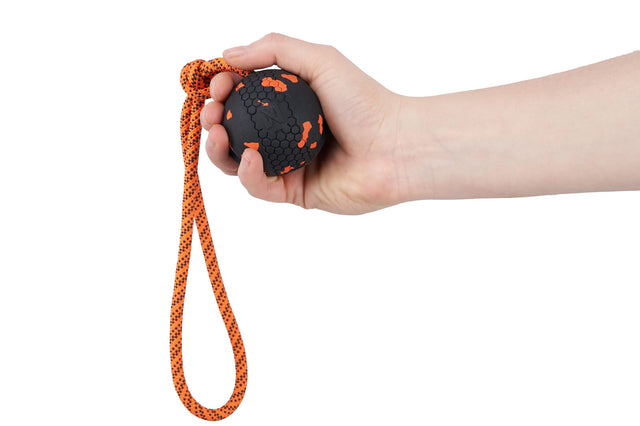 DOG BALL ON ROPE