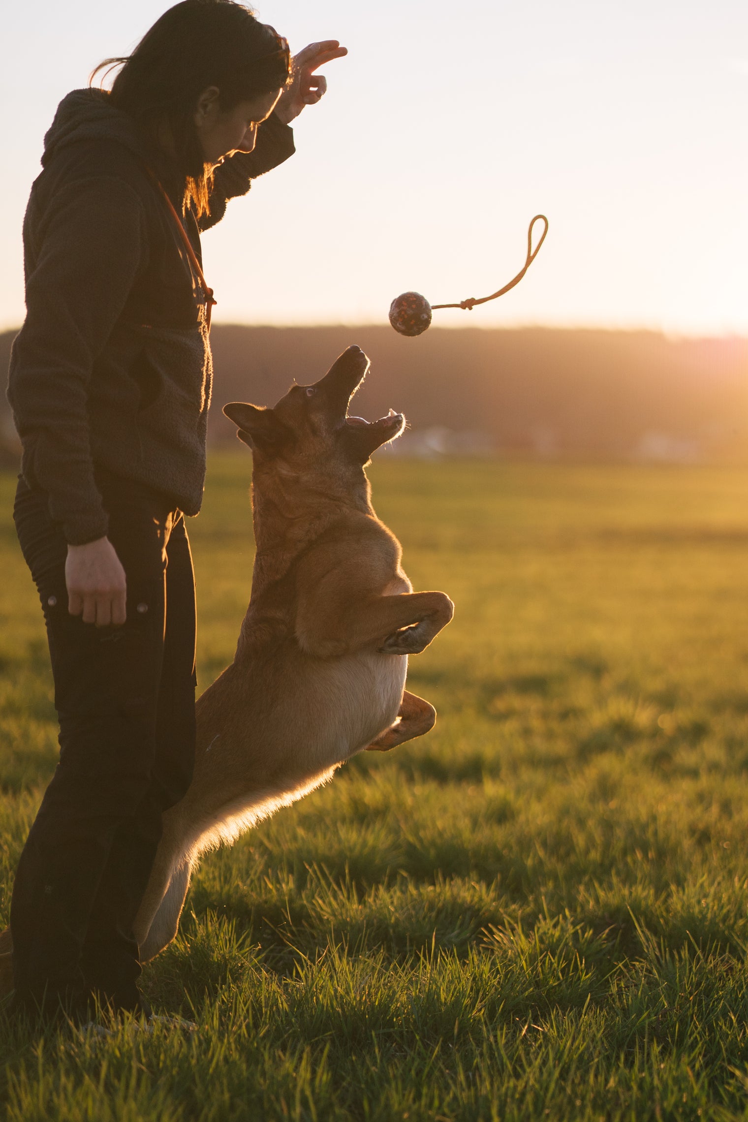 DOG BALL ON ROPE